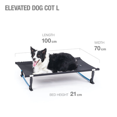 Elevated Dog Cot - Large - Black/Cyan Blue - palvelukotilounatuuli