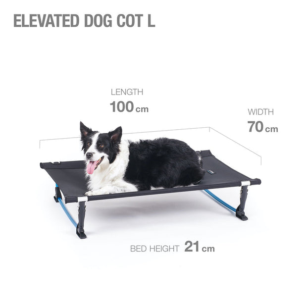 Elevated Dog Cot - Large - Black/Cyan Blue - palvelukotilounatuuli